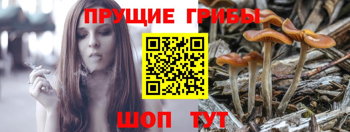 Обнинск  Галлюциногенные грибы мицелий  Псилоцибиновые грибы Magic Shrooms  Вход с VPN 
